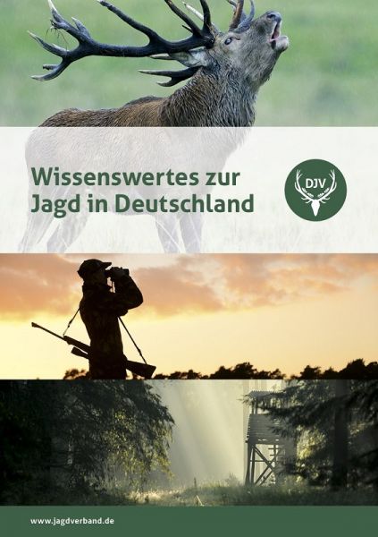 Wissenswertes zur Jagd in Deutschland