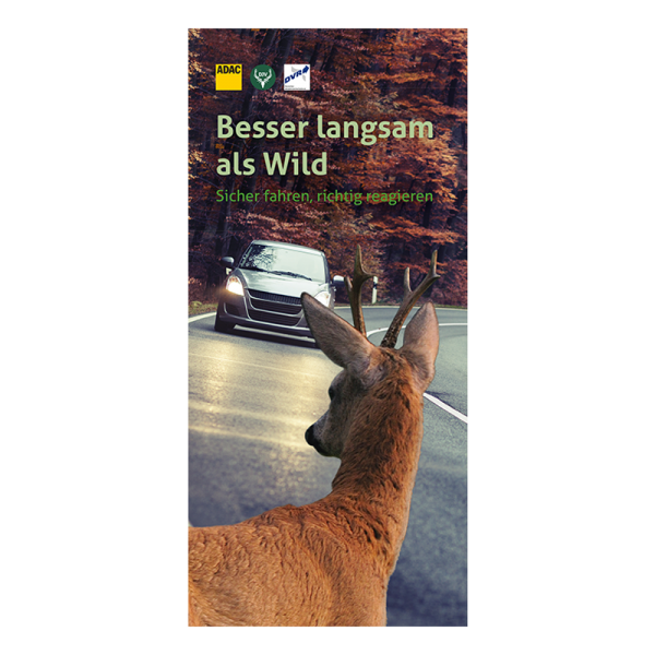 Besser langsam als Wild - Tipps und Infos Unfall