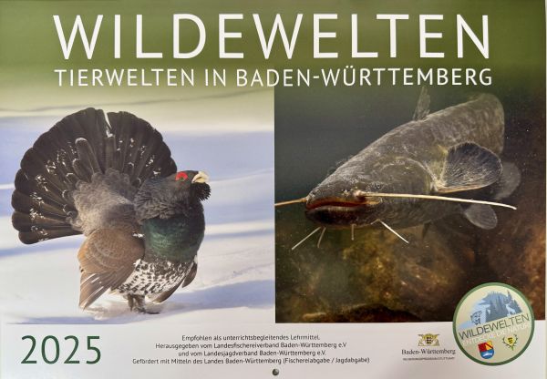 Schulkalender "Wilde Welten 2025"