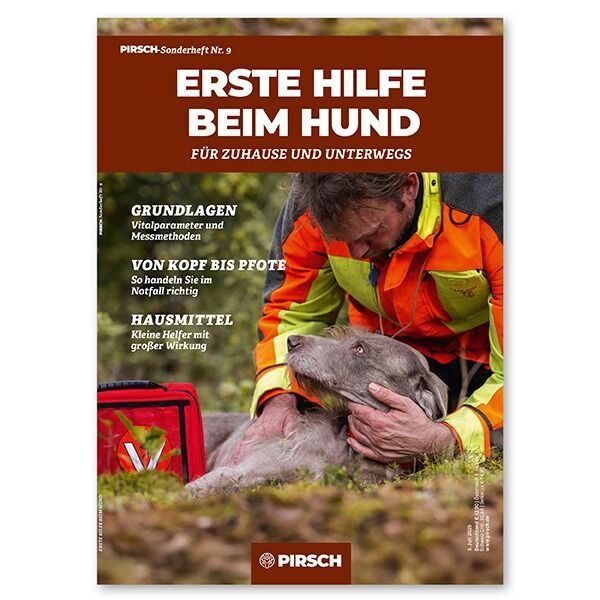 Sonderheft Erste Hilfe beim Hund